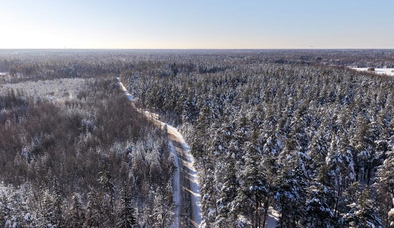 T2 усилила сеть на 29 трассах юга России